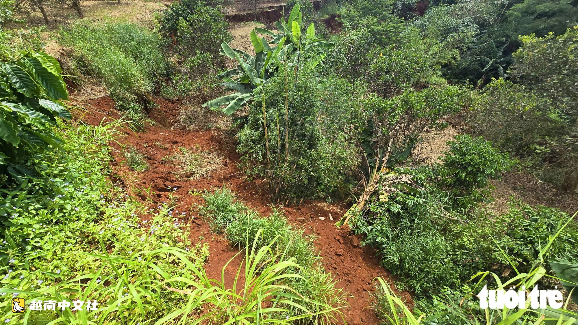 越南長裂縫“吞噬”民眾大量土地和農作物