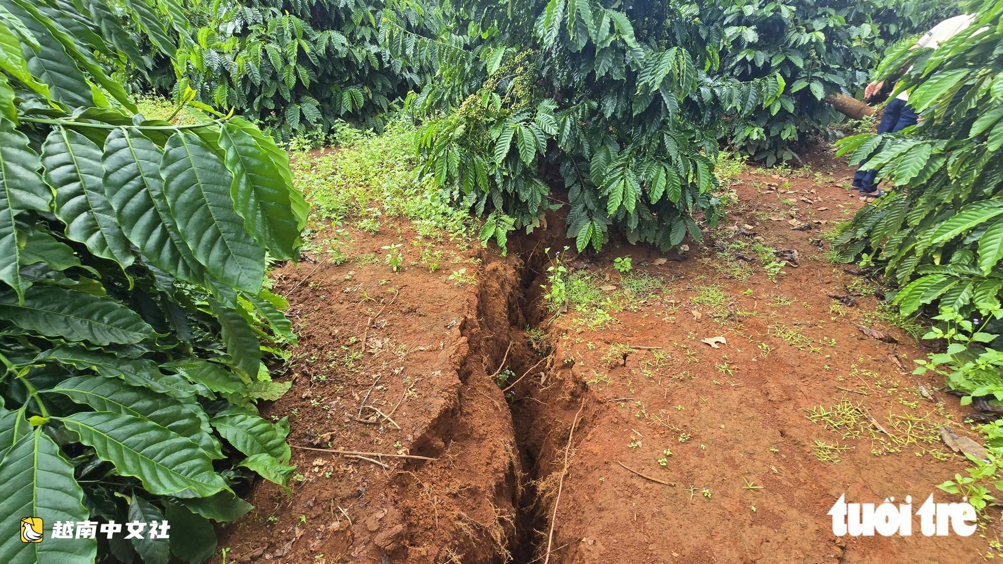 越南長裂縫“吞噬”民眾大量土地和農作物