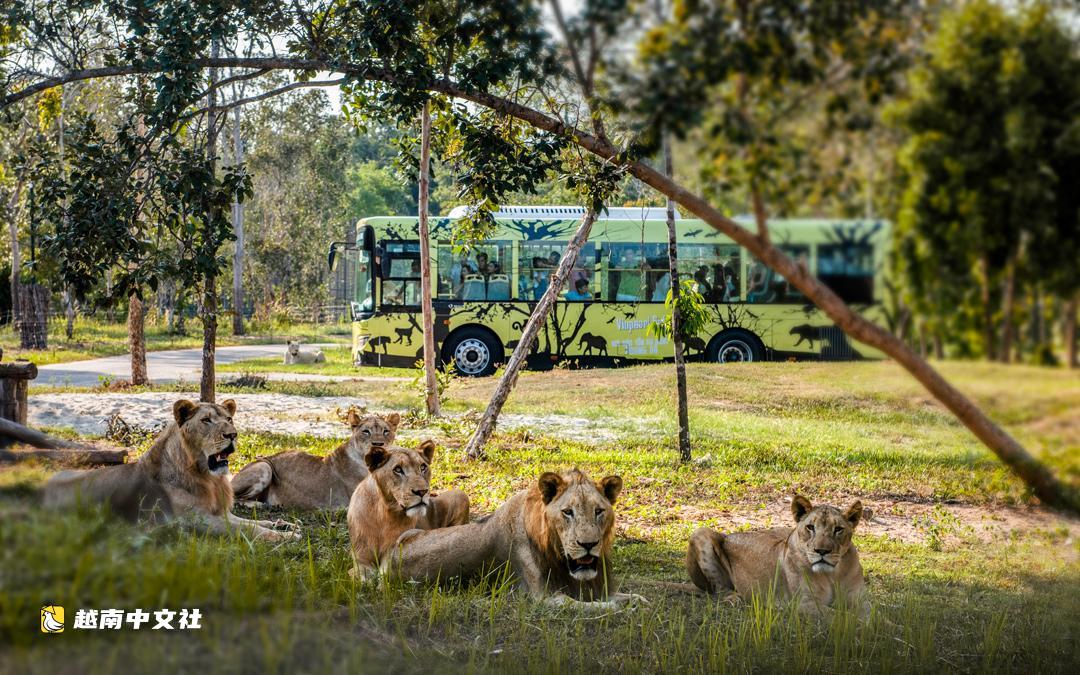 擁有世界“雙紀錄”,越南富國島珍珠野生動物園規模有多大?