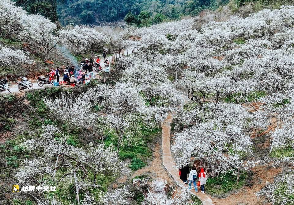 越南山羅在亞洲旅遊地圖上留下“雙印記”