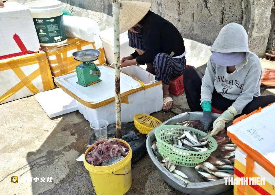 探訪越南被譽為'中部最美'的弧形簸箕船碼頭