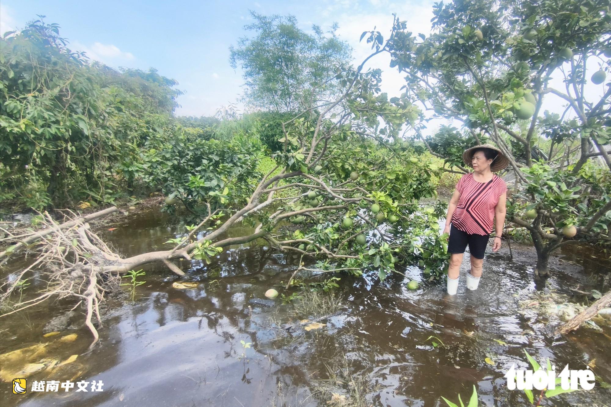 胡志明市啟用5座大型泵站應對暴雨和潮汛