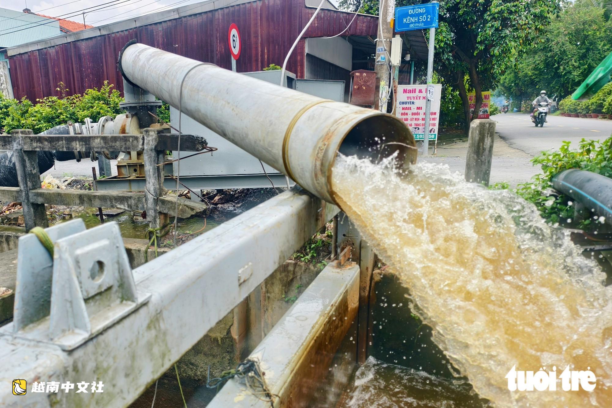 越南胡志明市平利鄉升級水利基礎設施,保護逾600公頃黃梅