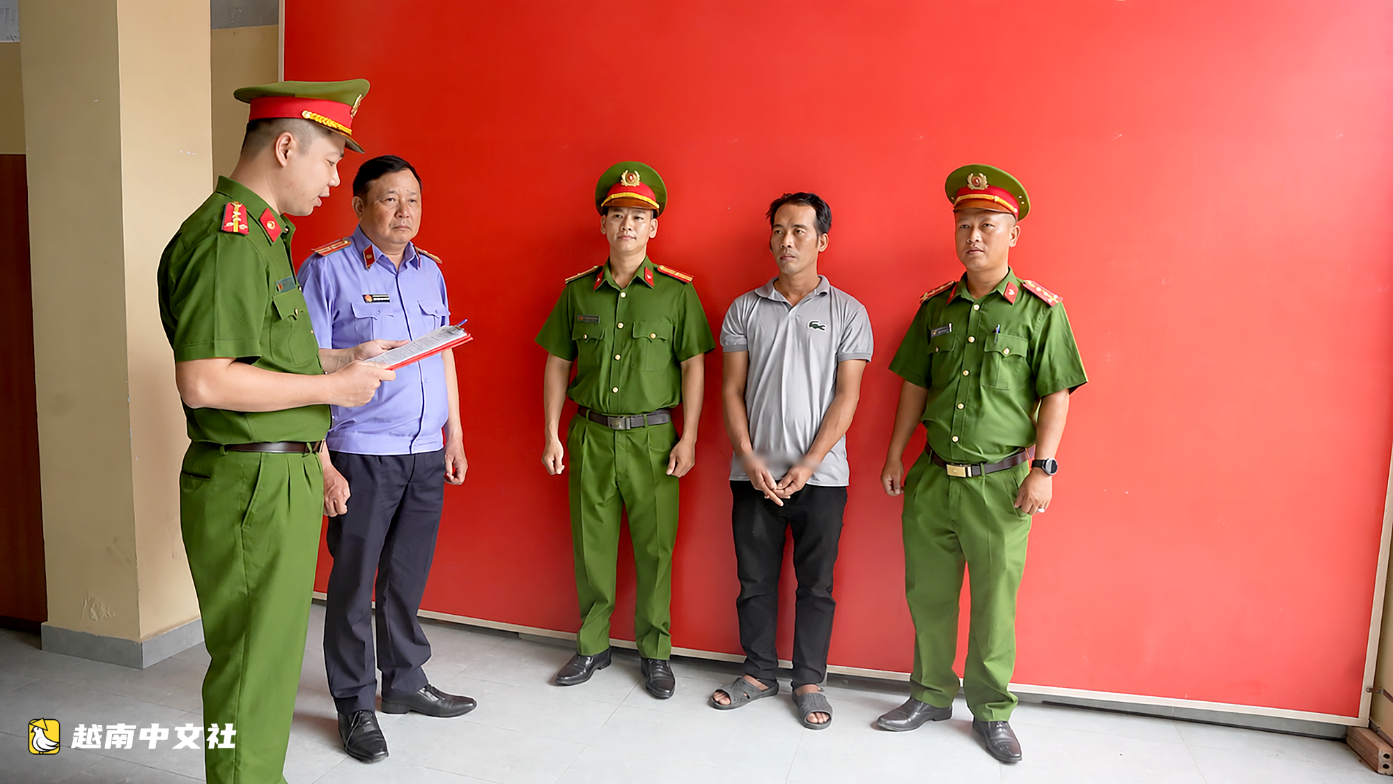 胡志明市起訴12名涉嫌偷盜2700只貓的嫌疑人