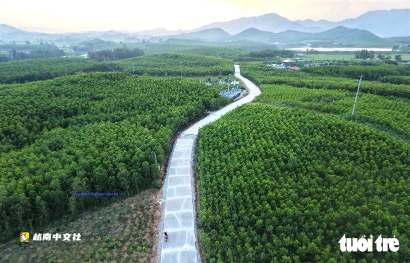越南乂安省127名學生未到校：責成公安處理妨礙學生返校人員