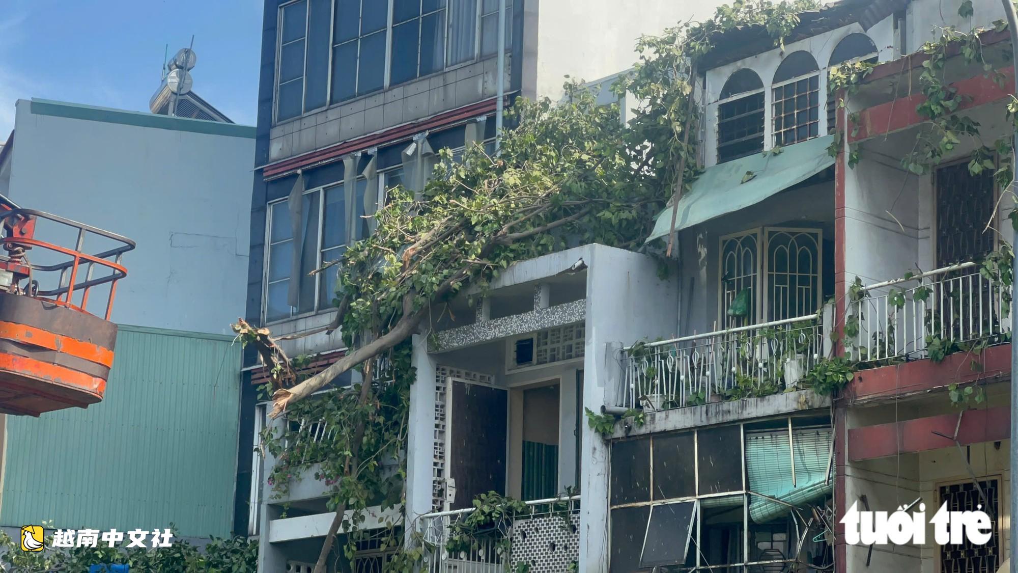 胡志明市丁先皇街-武氏六街一棟建築的榕樹連根拔起橫堵道路