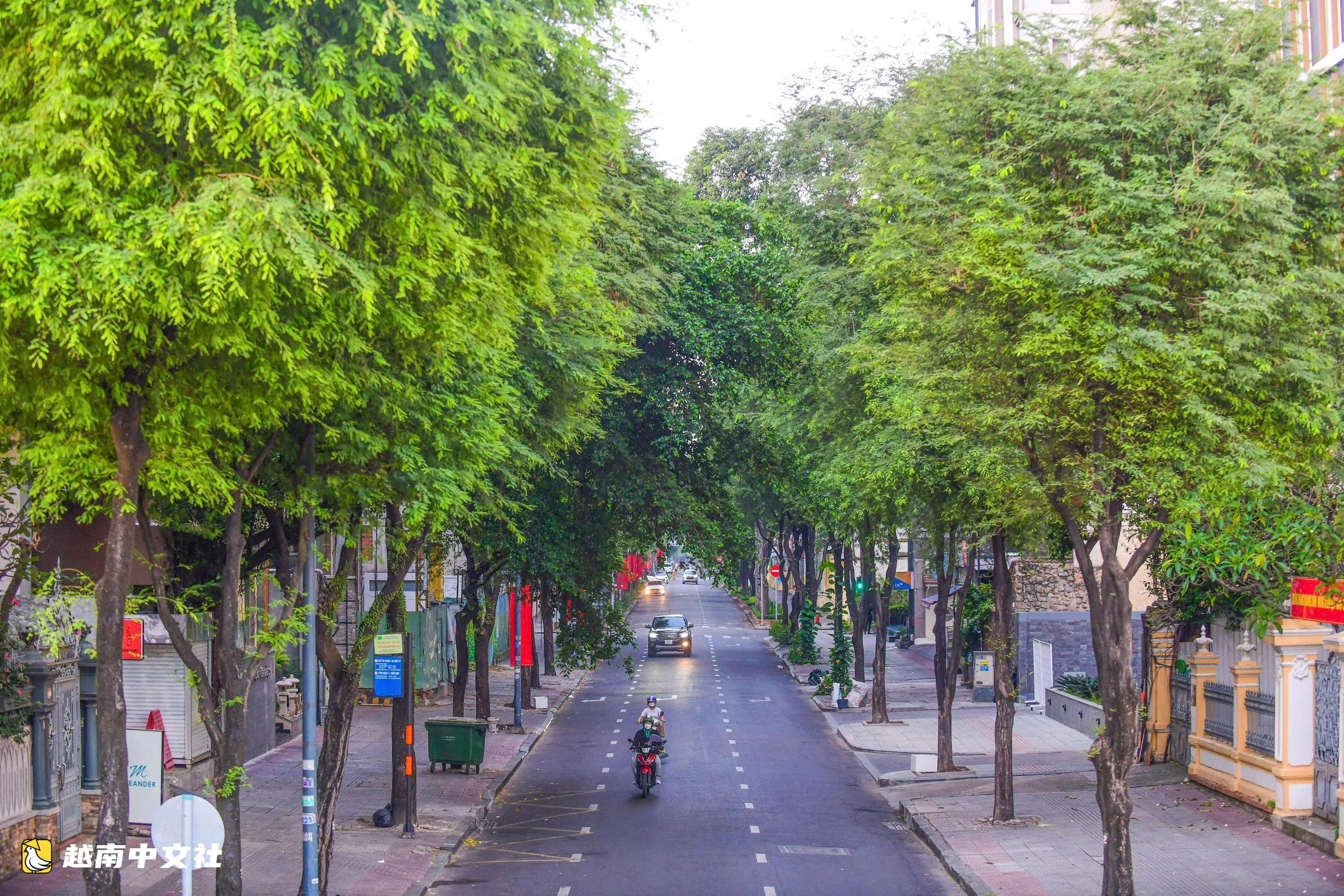 越南的綠色城市,不在於保留每一棵樹