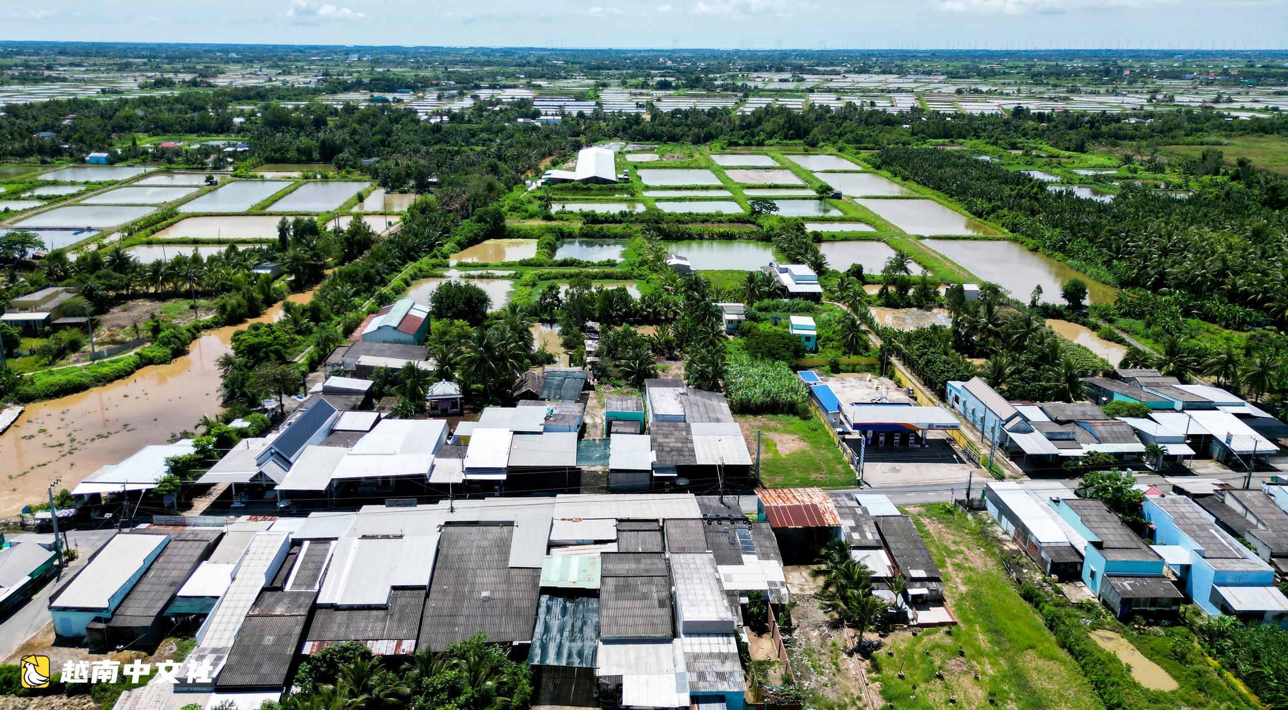 越南金甌:因2000頭豬的養豬場,鄉親們見面互問“你那邊臭不臭”