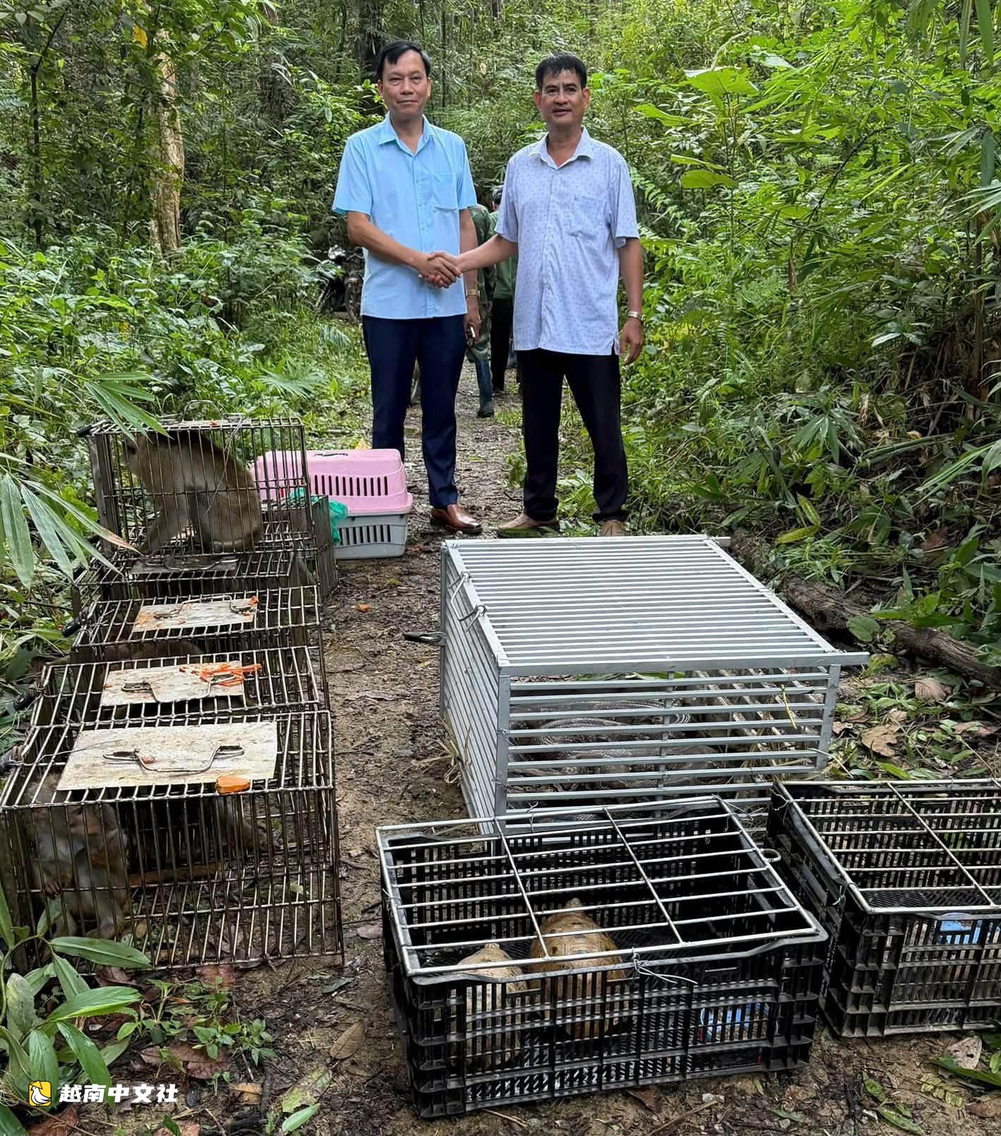 越南將蟒蛇、黃尾猴、黃額閉殼龜、穿山甲等放歸朱莫雷國家公園