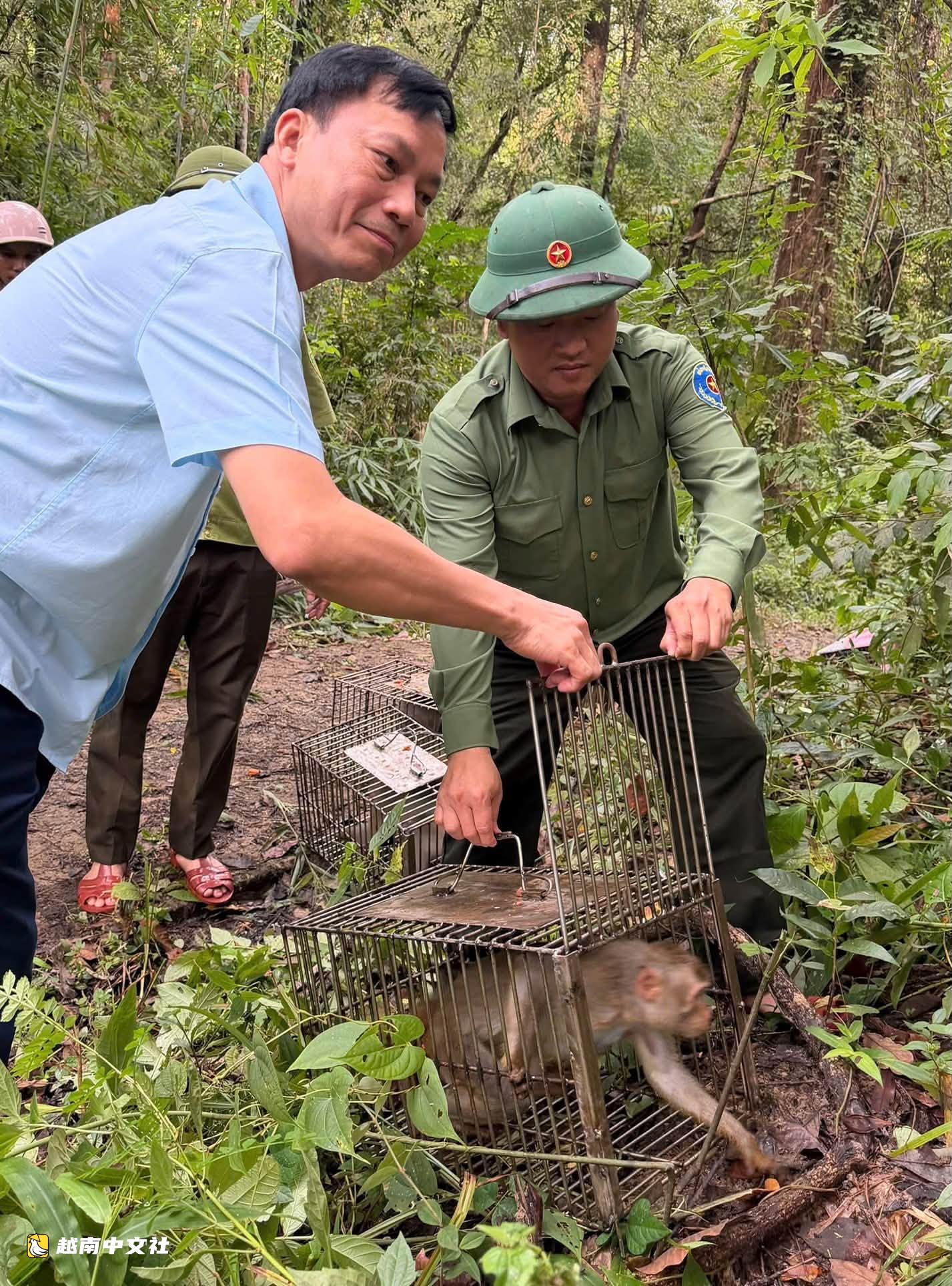 越南將蟒蛇、黃尾猴、黃額閉殼龜、穿山甲等放歸朱莫雷國家公園