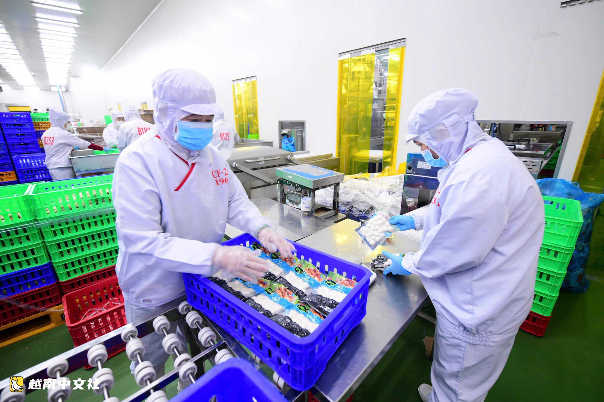 越南胡志明市:企業的成功就是城市的成功,企業品牌鑄就城市品牌