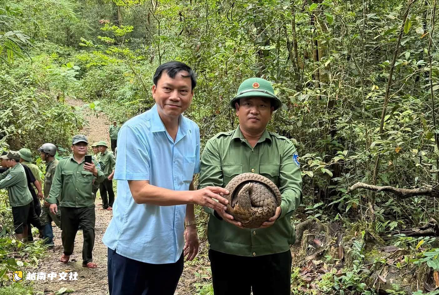 越南將蟒蛇、黃尾猴、黃額閉殼龜、穿山甲等放歸朱莫雷國家公園