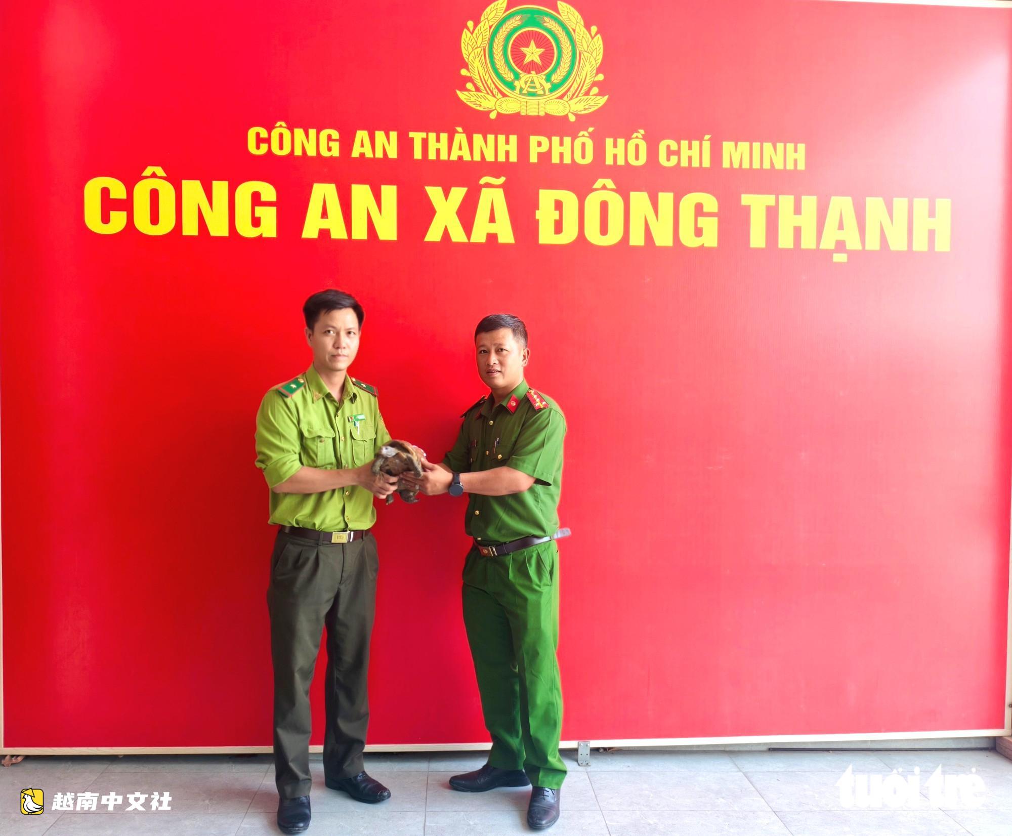 越南胡志明市東盛鄉路上發現'迷路'的金山龜,咖啡館老闆立即上交給公安