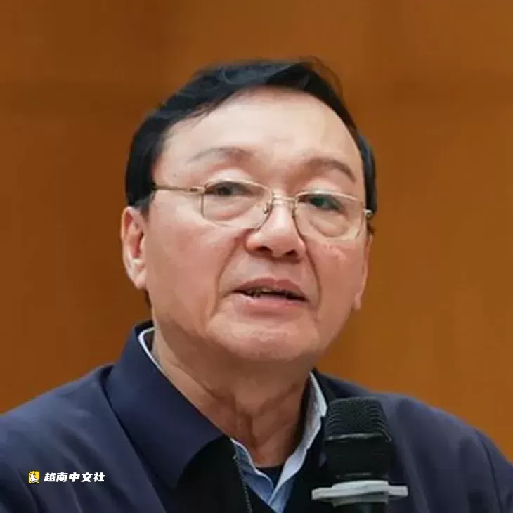 越南企業進入全球供應鏈——第一篇:需要領頭“鶴”