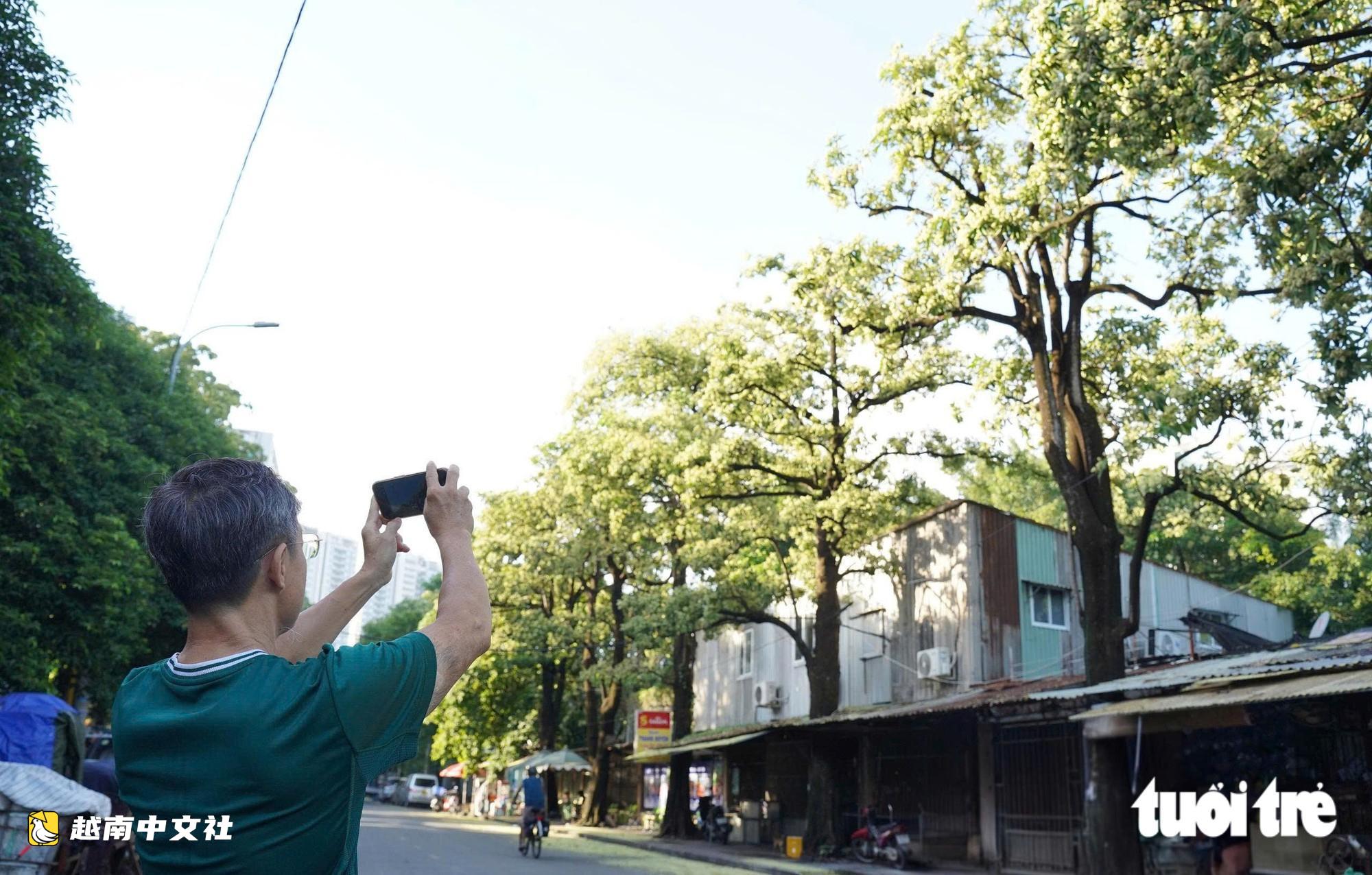 胡志明市街頭一角乳花盛開