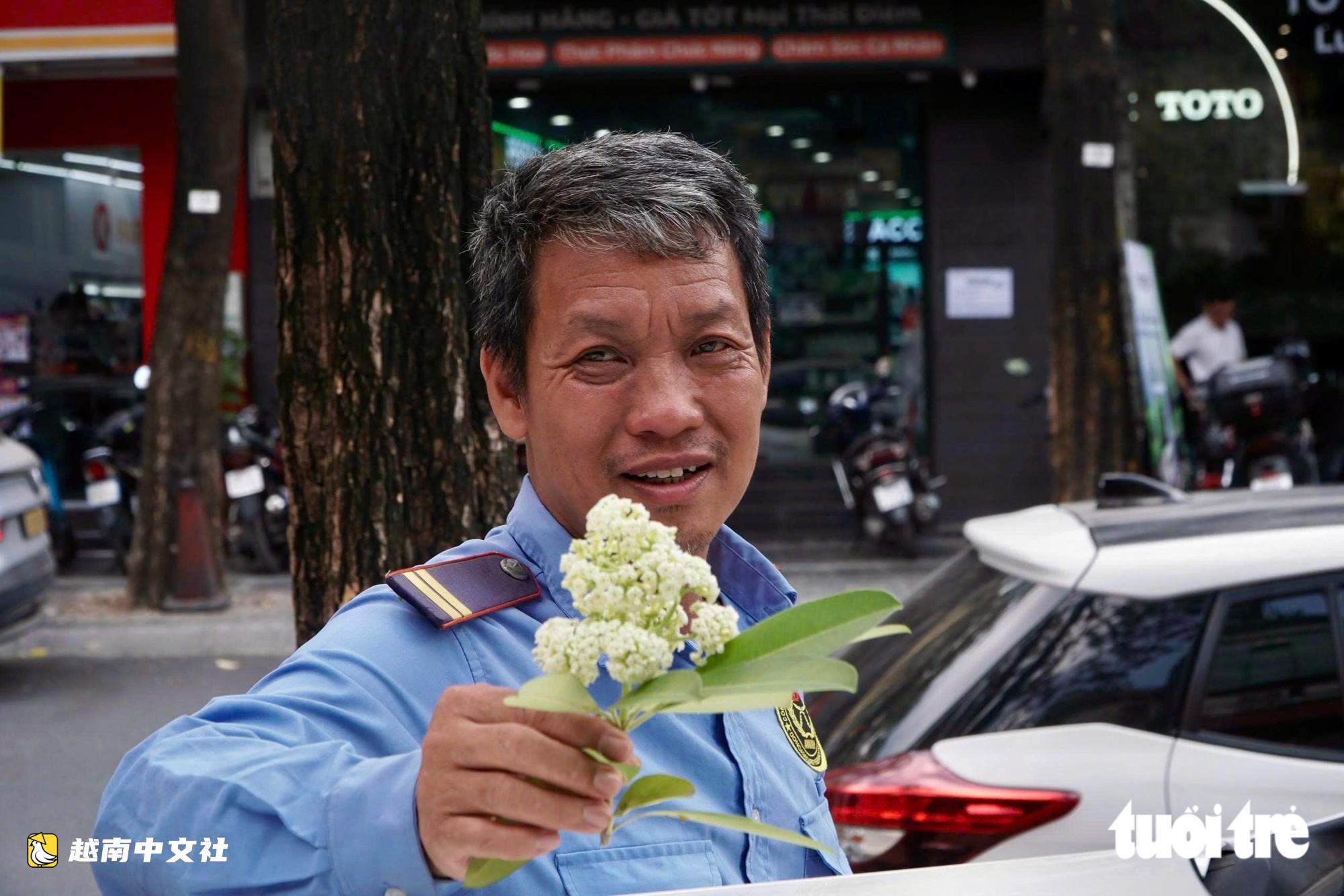 越南河內:工人持剪刀修剪街頭乳香花