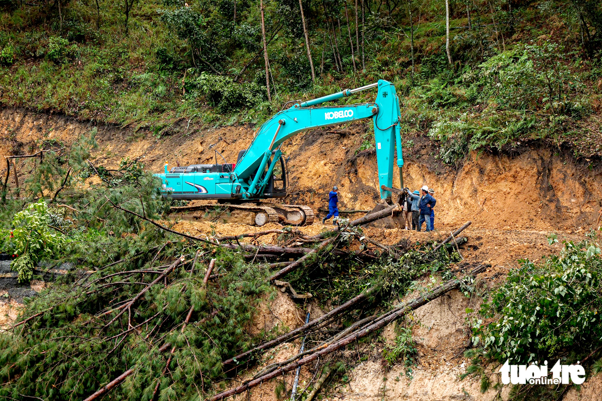 如何在10天内开通大叻的Mimosa山口？