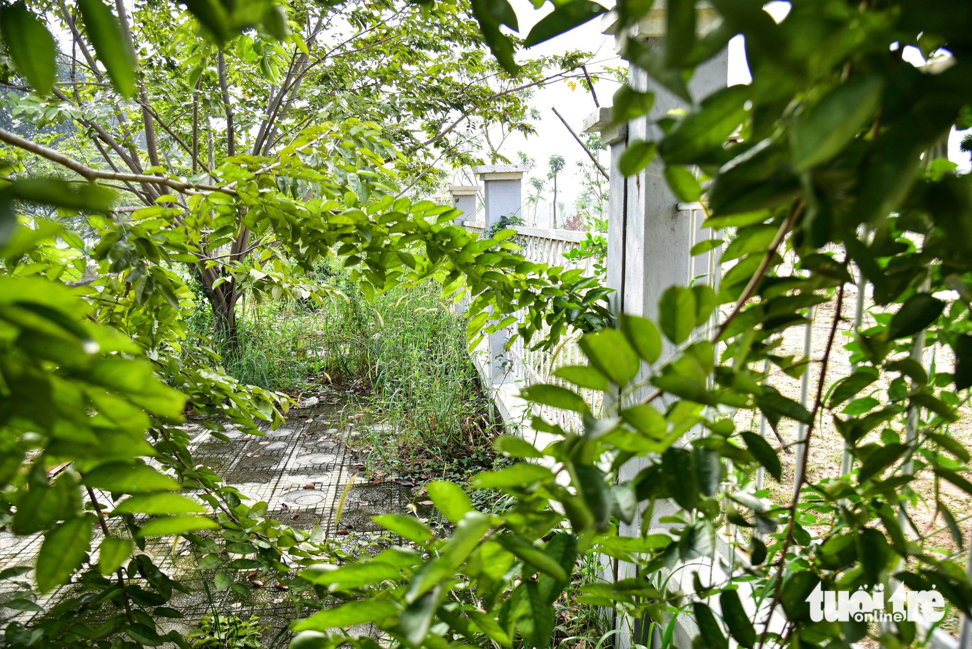 胡志明市4500亿越盾医院开工10年后现状：施工'应付了事'，杂草丛生