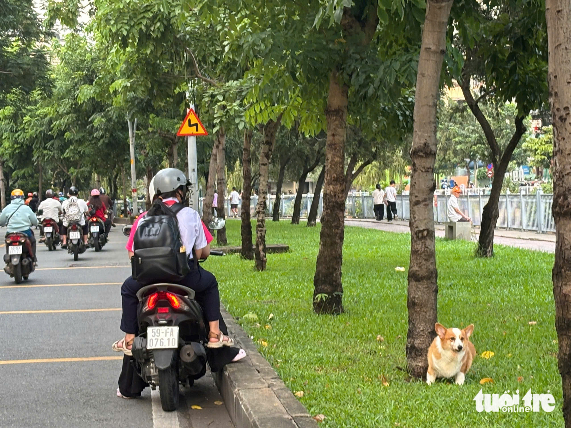 未戴嘴套的狗沿着尼奥洛-蒂涅运河奔跑：'带孙子散步时担心狗冲过来咬人'