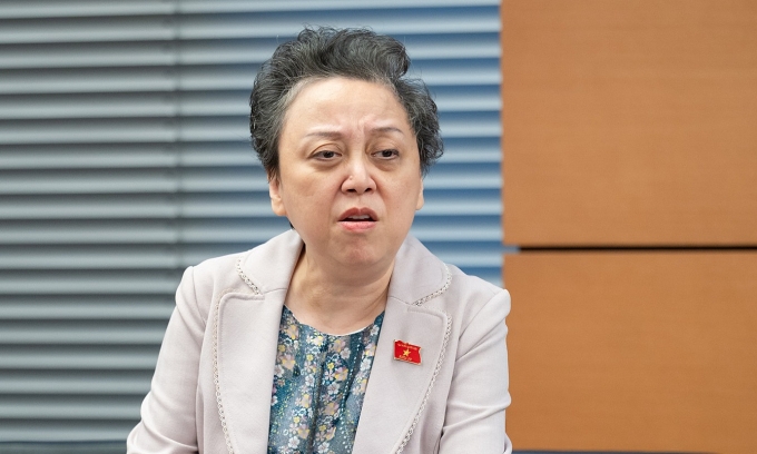 胡志明市人民议会将质询食品安全与交通拥堵问题