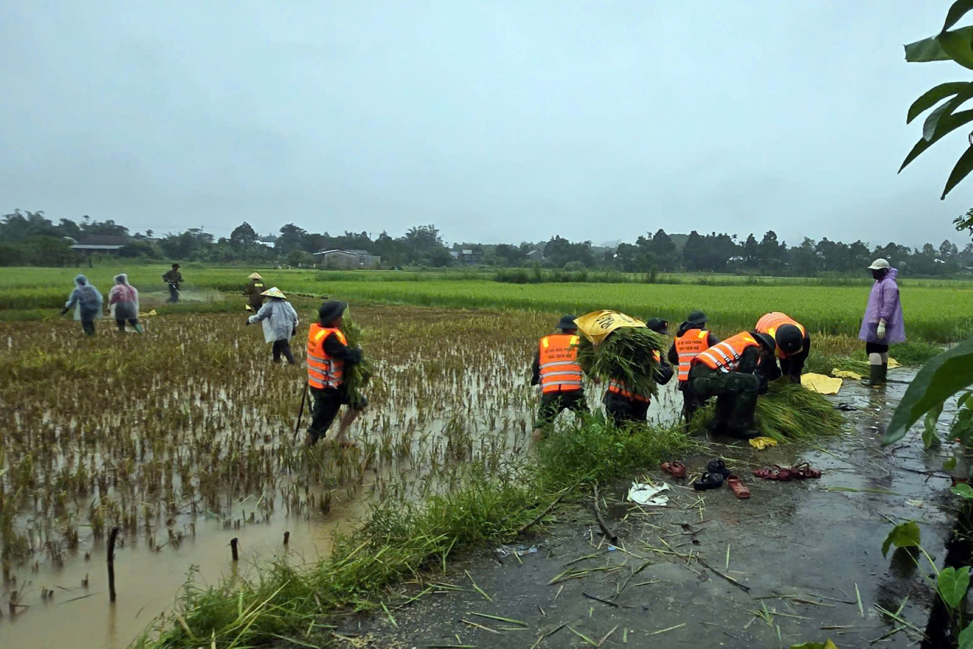 抗击Bualoi台风：河静省禁止出海，开始疏散居民；29,000名士兵待命出发