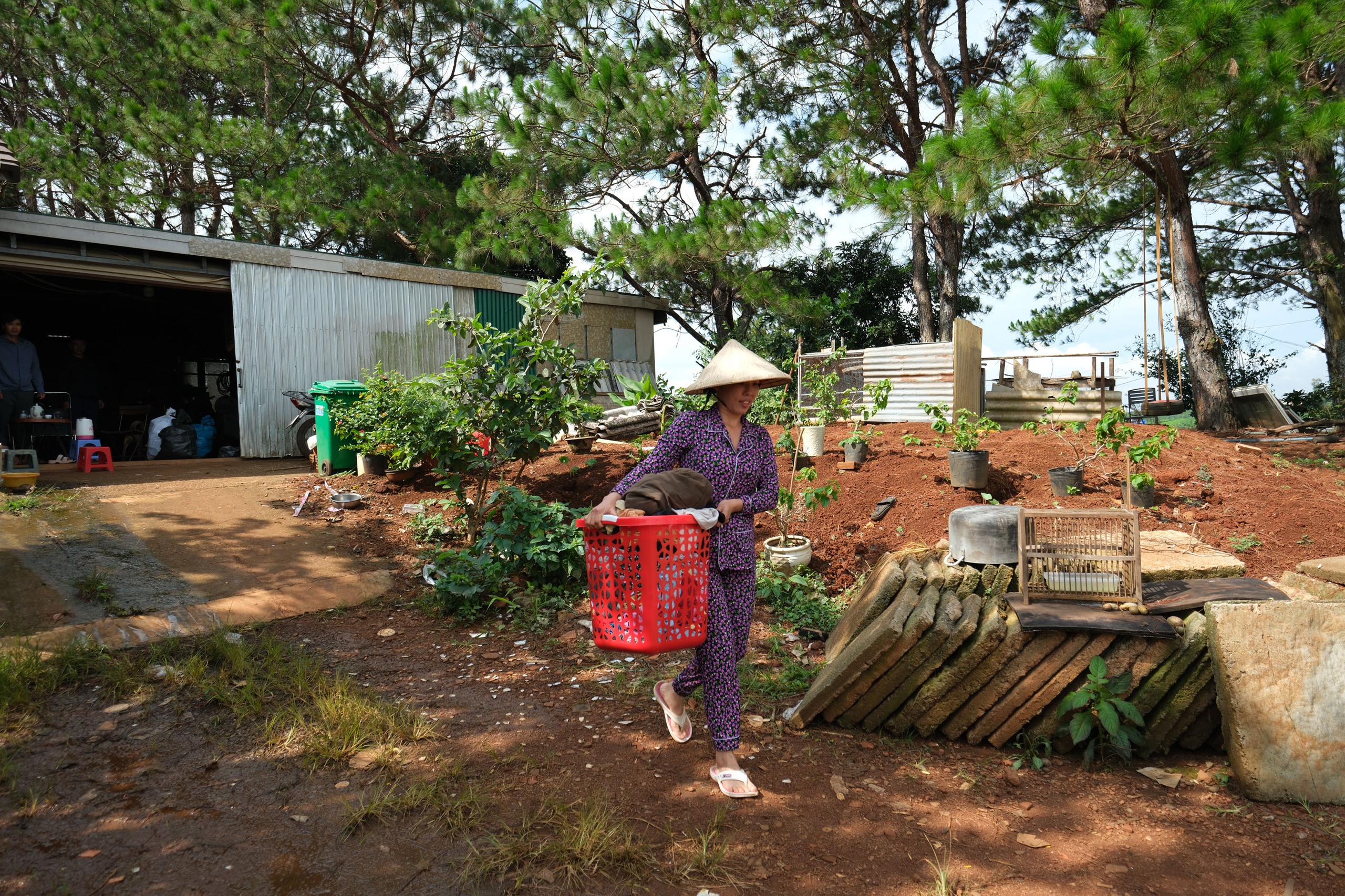 林同省选民因矿产规划中的不足而感到不满