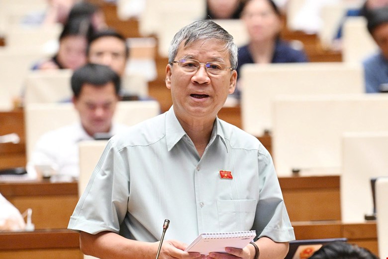 关于整顿国会代表行为和言辞的提议