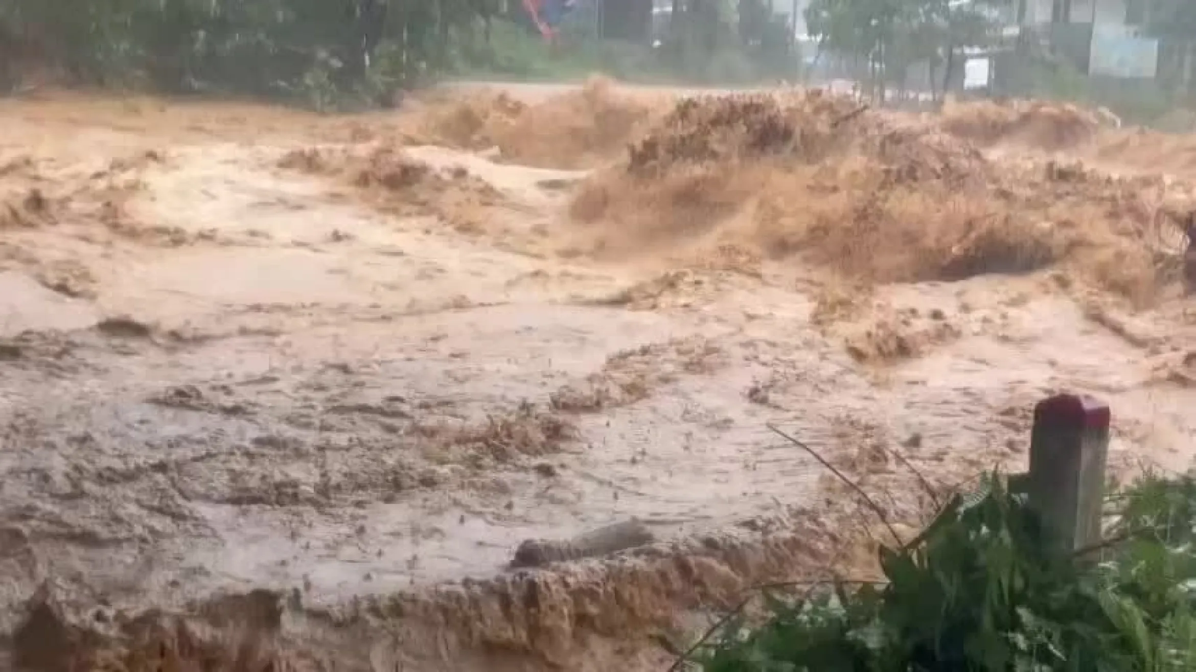 山体滑坡和泥石流冲走岘港数十栋房屋