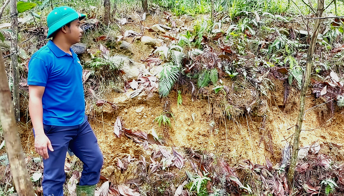 长达100米的山坡裂缝威胁下方20户居民区