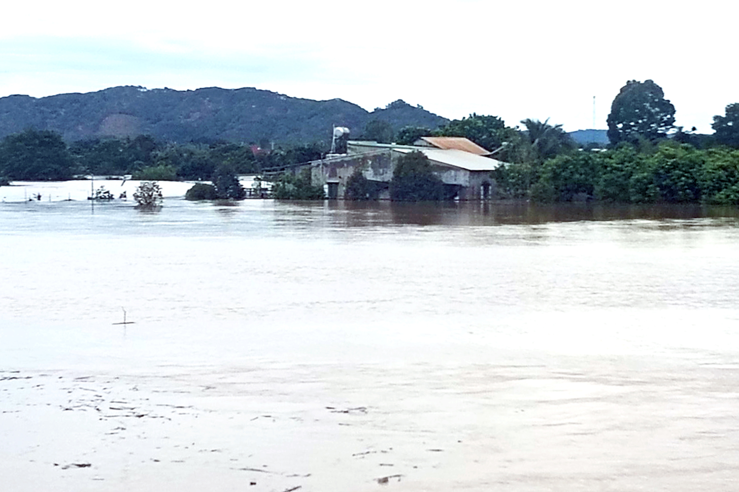 同奈5号水电站泄洪，下游数百户家庭遭受洪水淹没