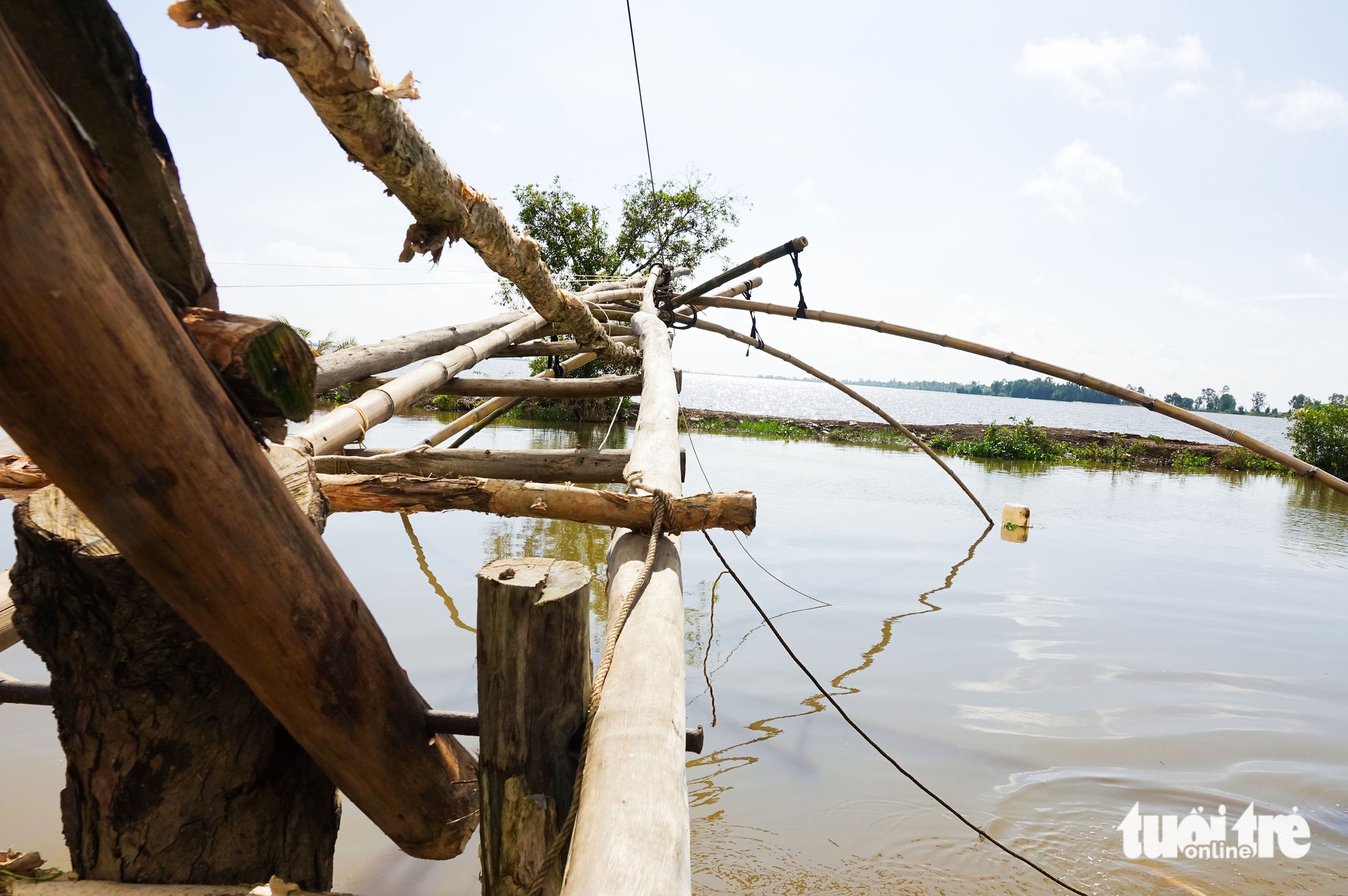 西部居民在洪水季节用网兜捕捉河流中的野生鱼