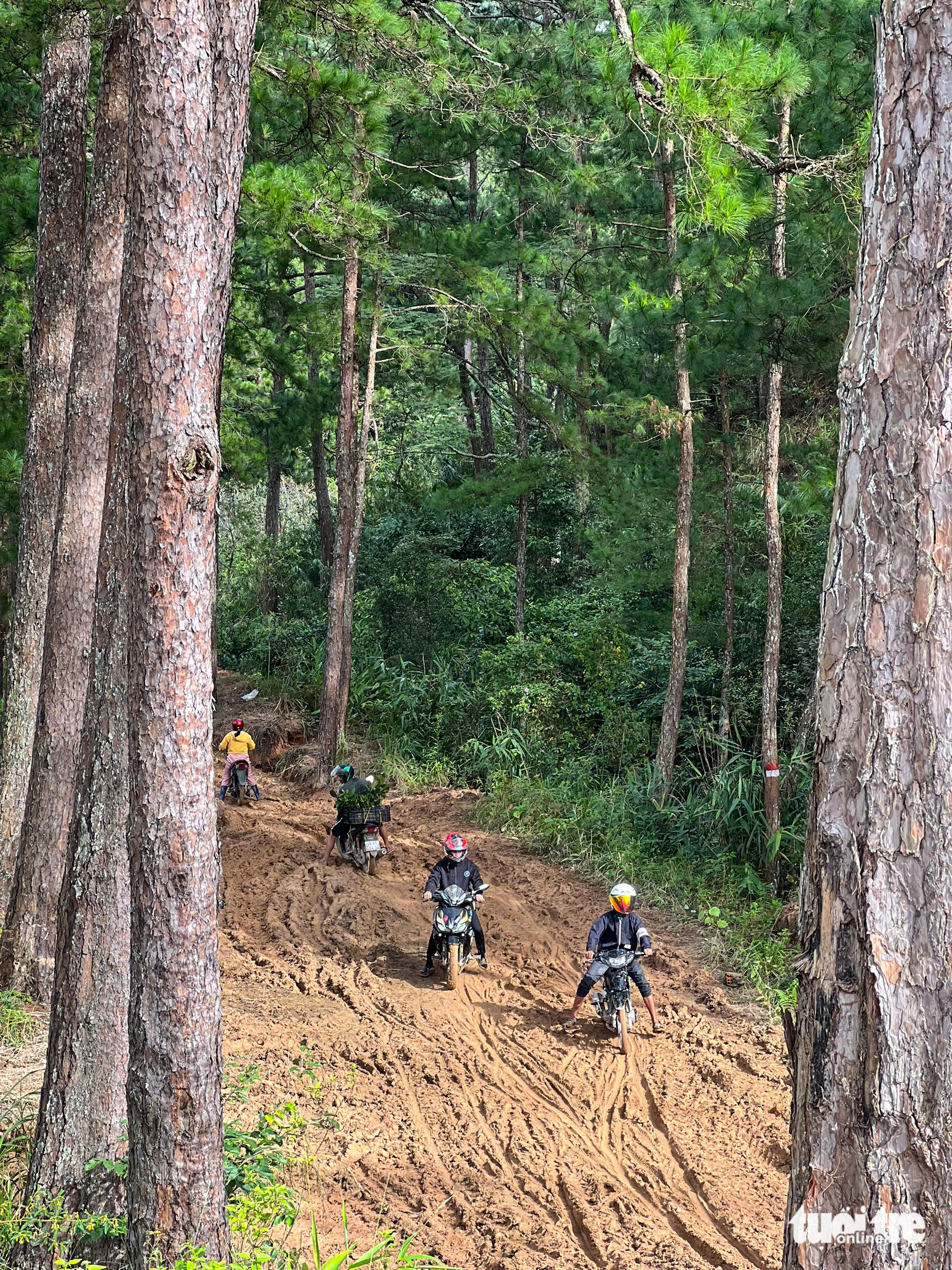 达叻山口长期关闭，民众泥泞跋涉穿越森林