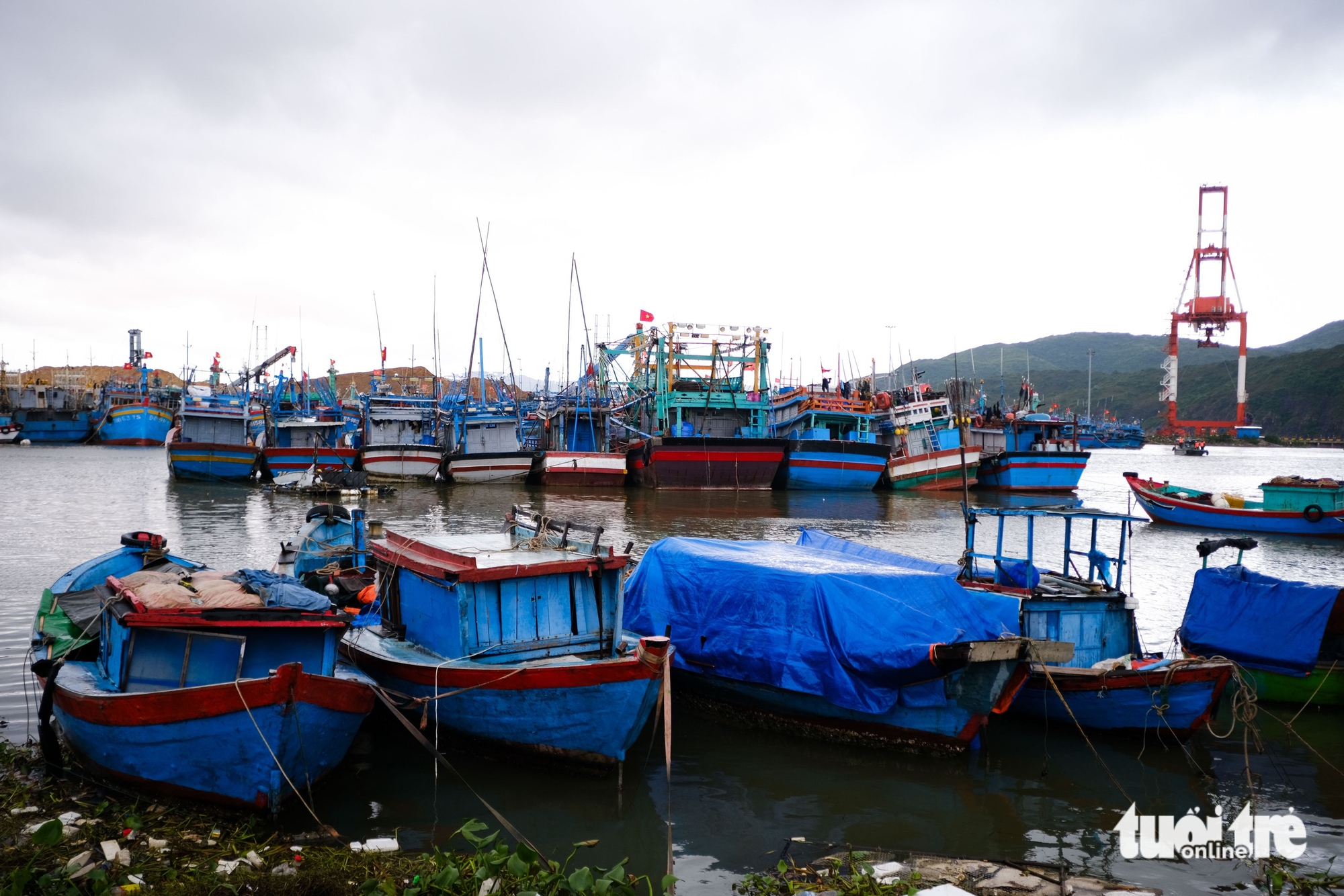 副总理陈红河在嘉莱省直接检查抗击台风卡尔梅吉