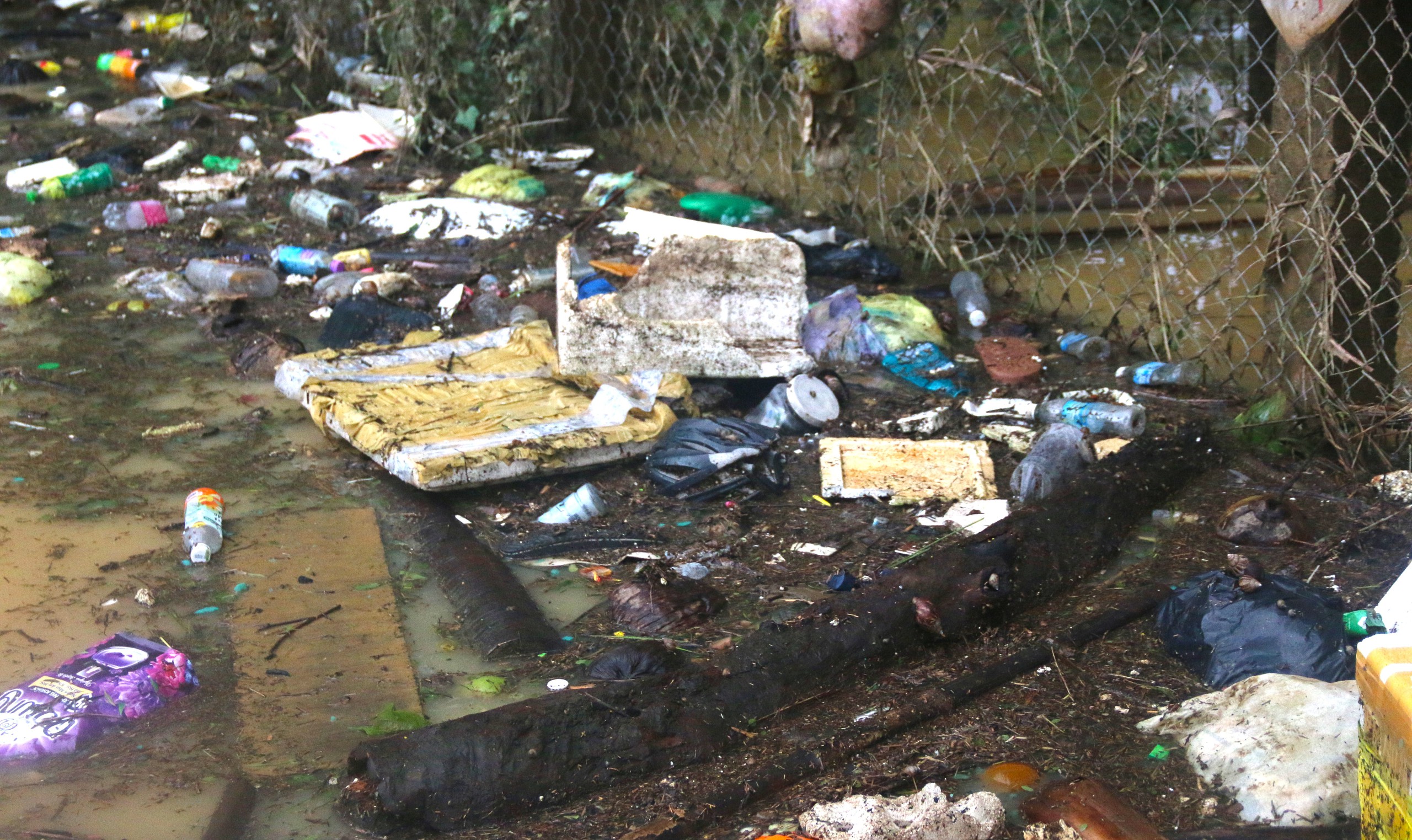 庆和省洪水中救援20天新生女婴的旅程