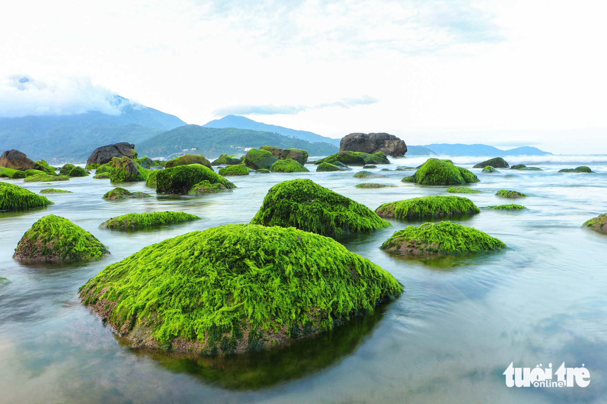 探索岘港海滨的古渔村