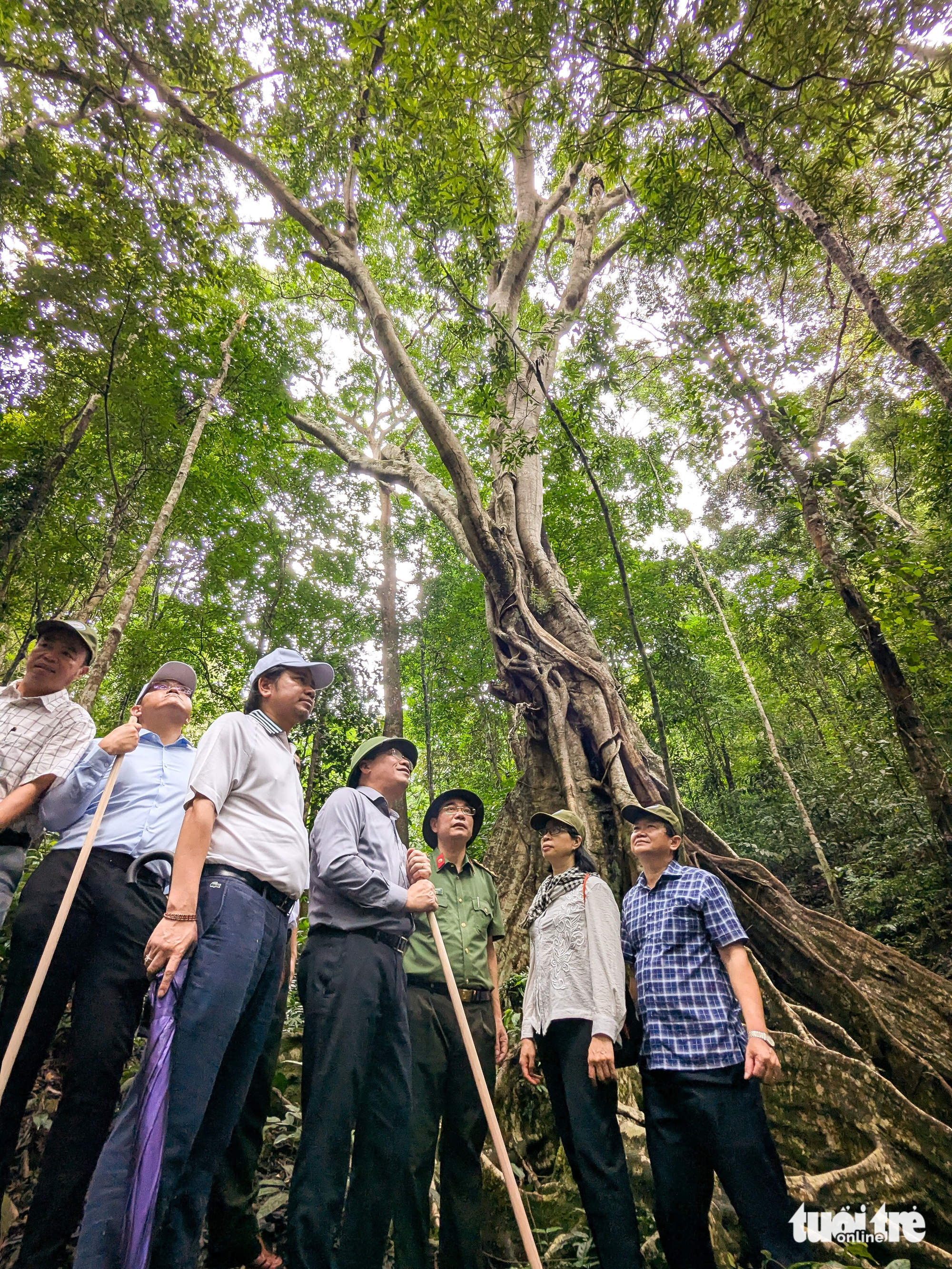 唤醒昆卡京，带游客到'金山'