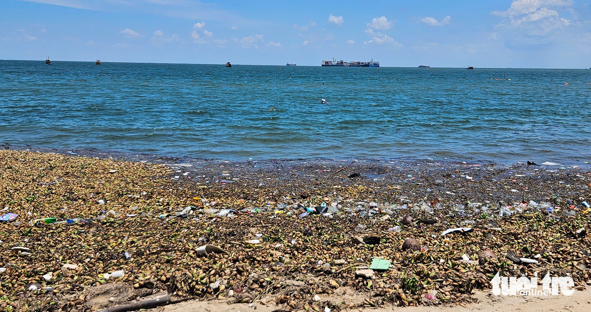 层层塑料垃圾随水葫芦漂入头顿海滩