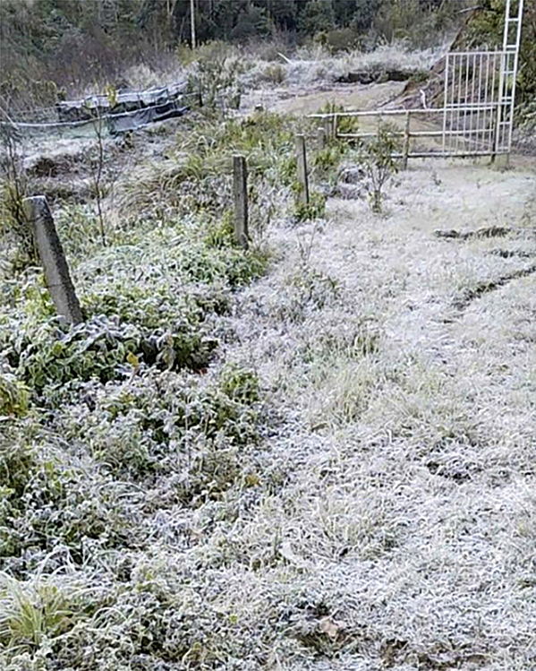 义安省高地出现霜冻