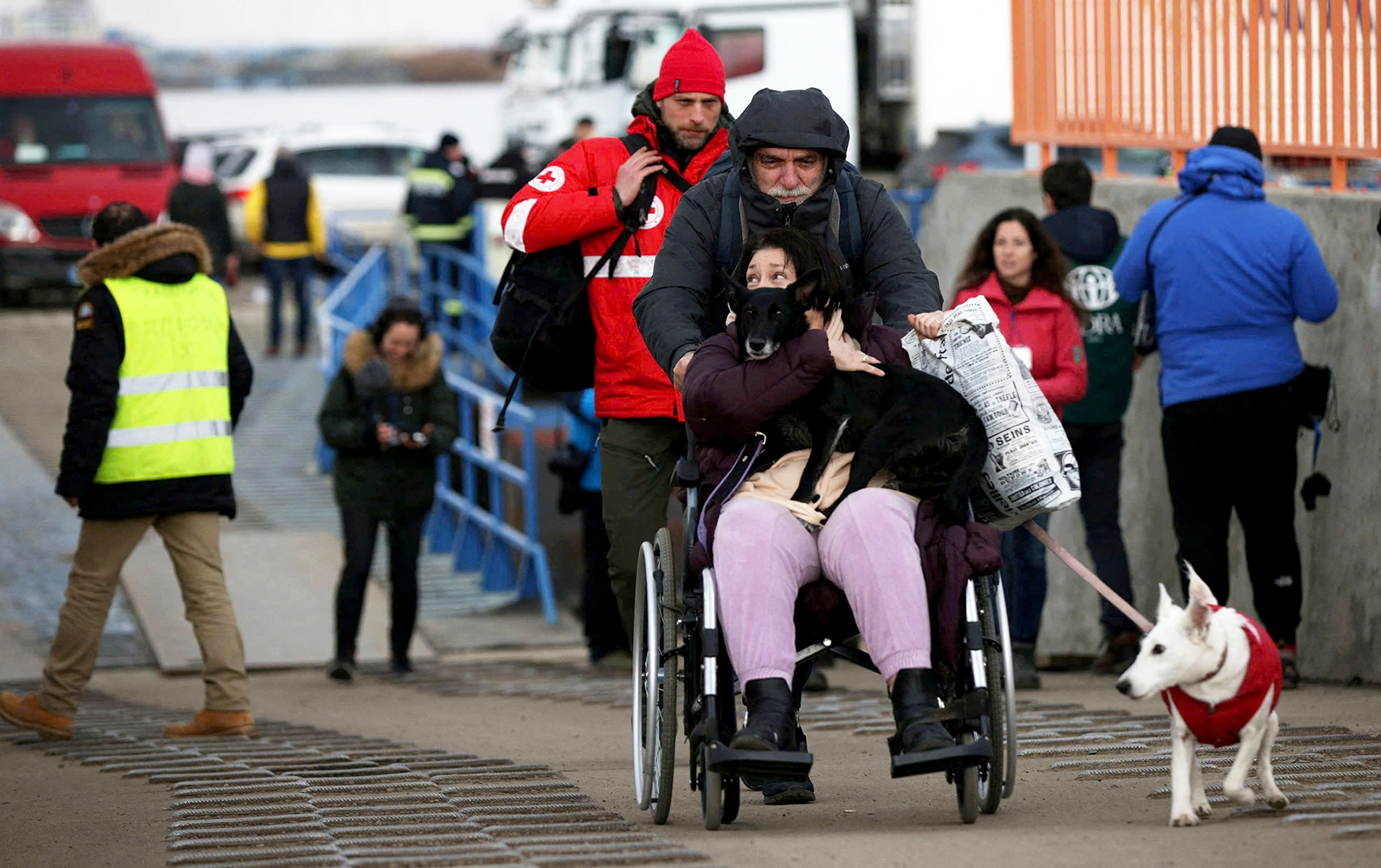 为残疾人提供机会