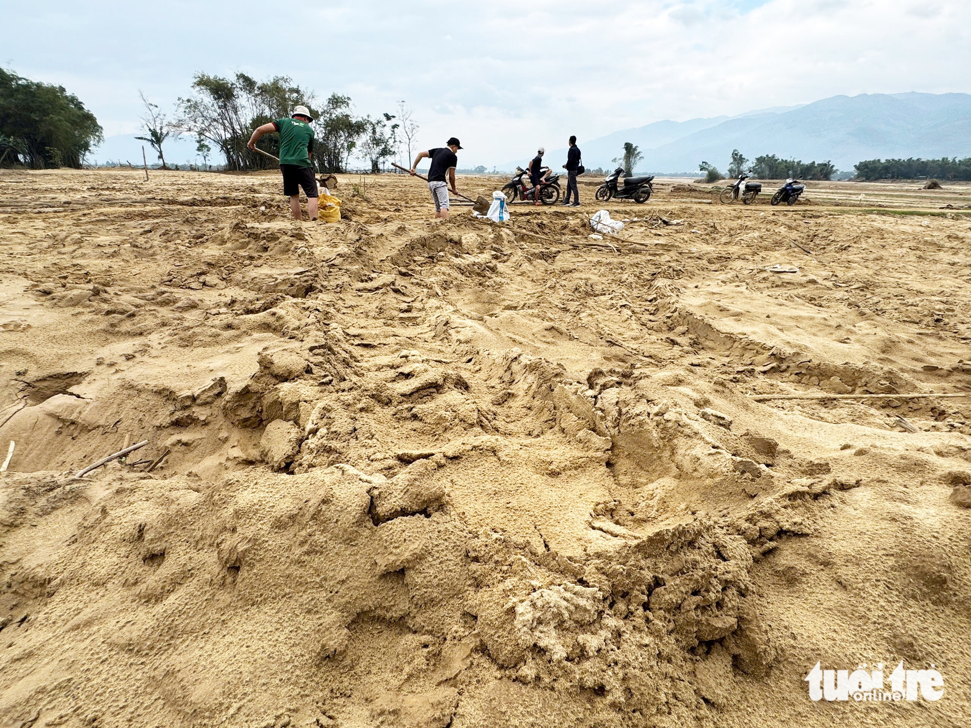 武嘉河沿岸农作物土地被洪水淤积1-1.5米，大禄洪水中心农民'哽咽哭泣'