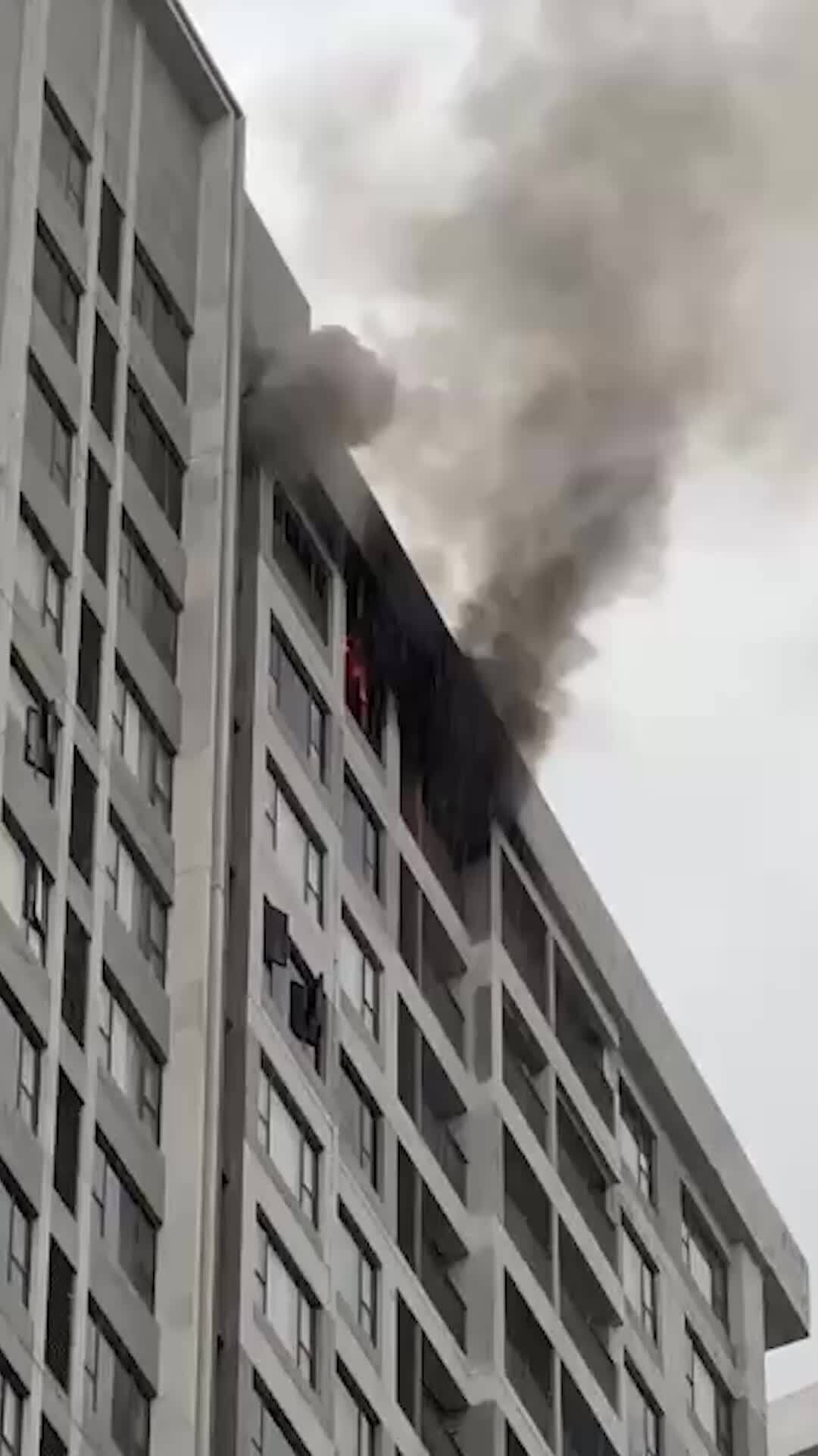 胡志明市公寓楼27层发生火灾