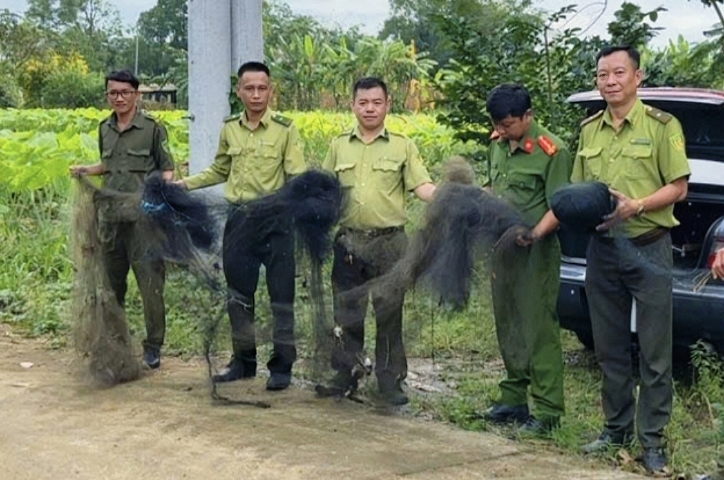 胡志明市森林保护部门拆除盛汇岛500米捕鸟网