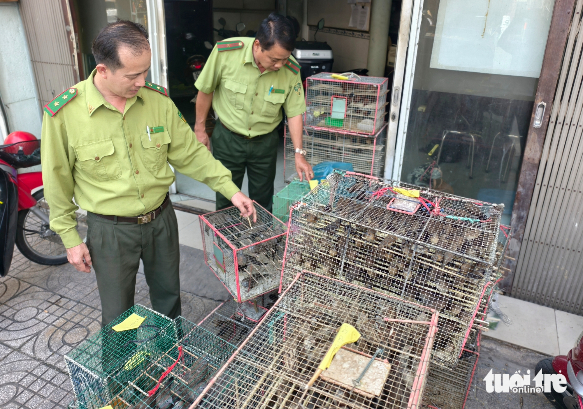 5人因无合法文件出售1000只鸟被罚款700万越南盾