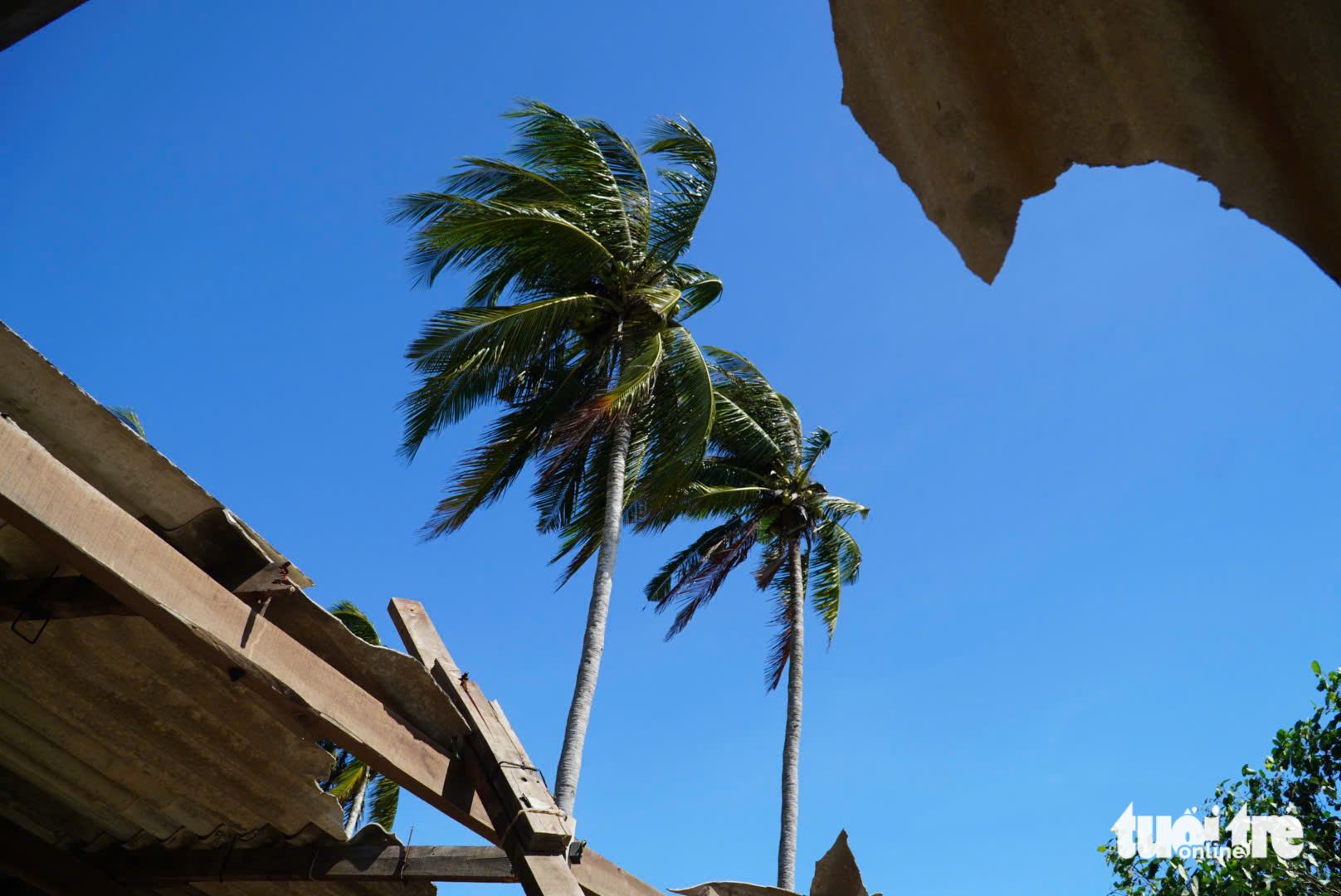 恐怖海浪夜间袭来，广南省海滨村庄一片狼藉