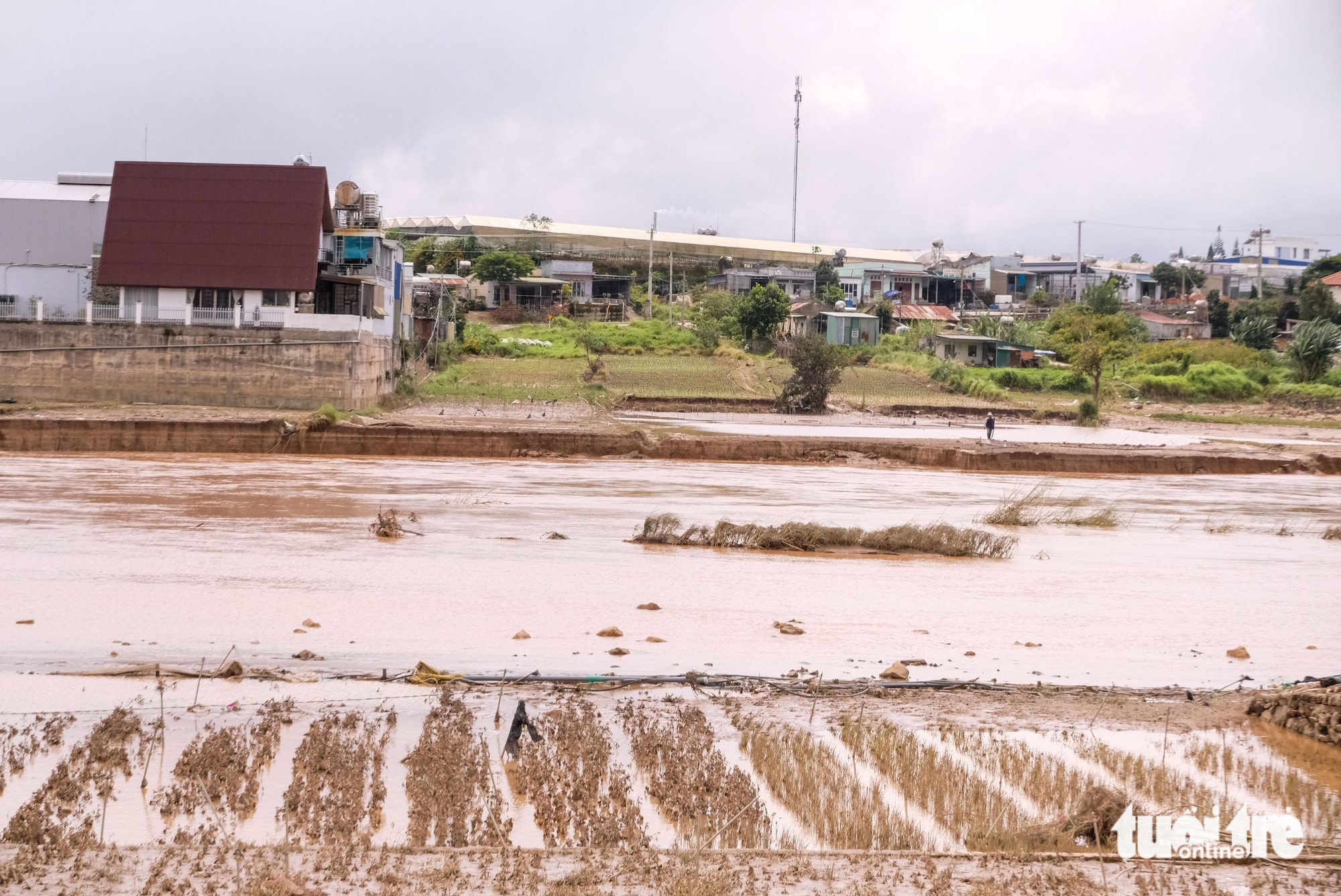 林同省最大蔬菜区在洪水后一片狼藉的景象令人心痛