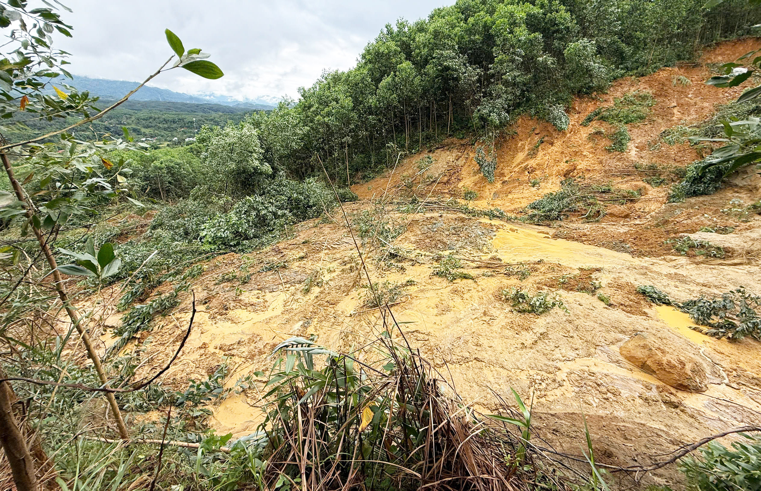 长达100米的山坡裂缝威胁下方20户居民区
