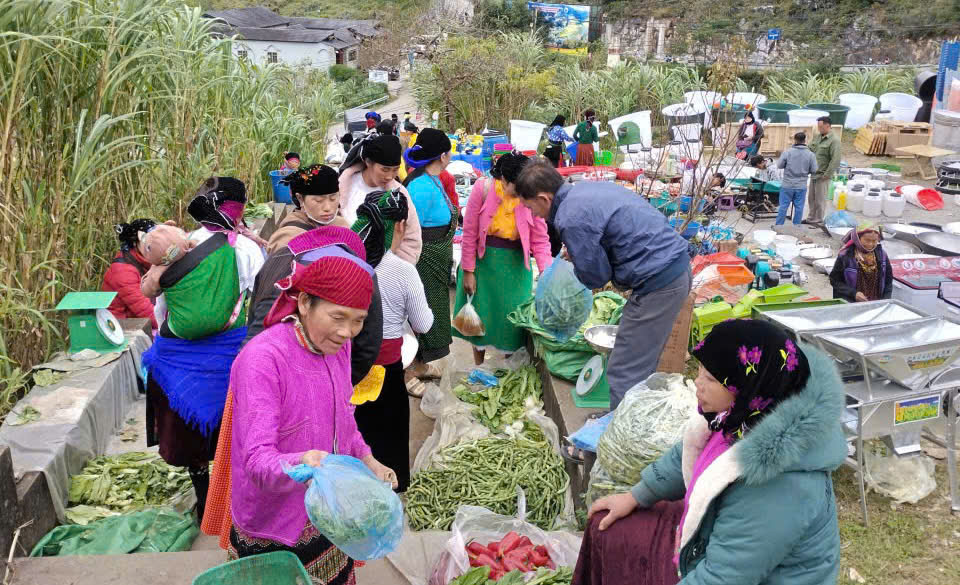 石原上的萨芬倒退市场的独特之处
