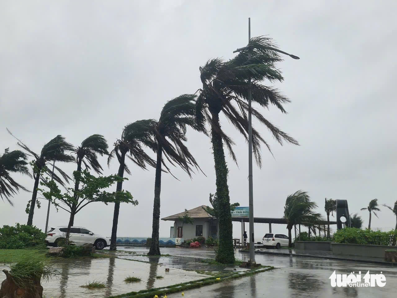在第三号台风Wipha登陆前：各地全力应对