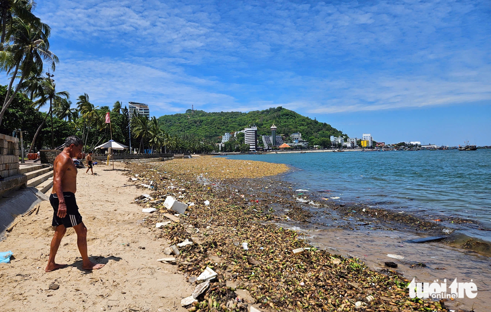 层层塑料垃圾随水葫芦漂入头顿海滩