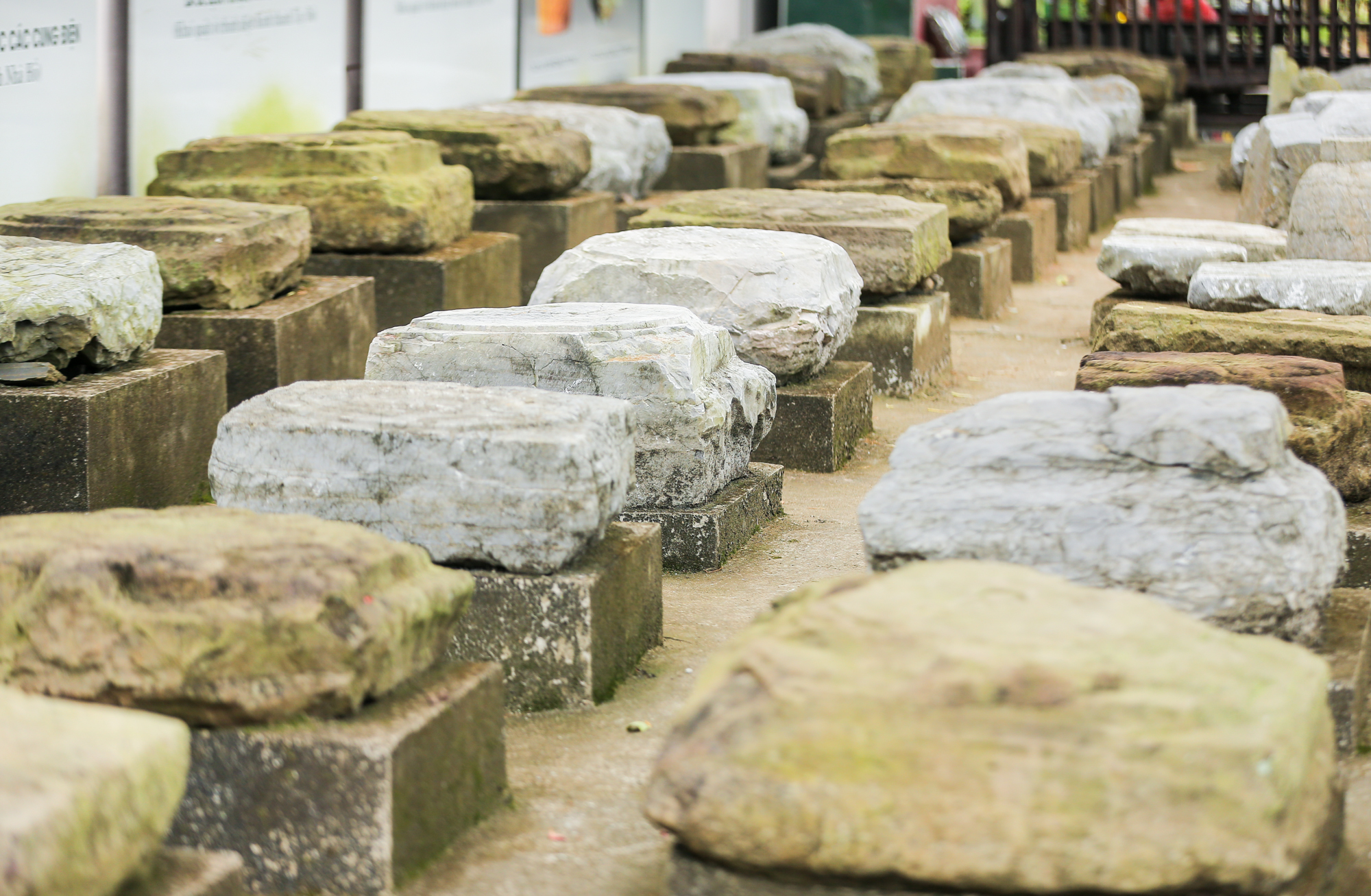 胡朝古都600多年历史的古朴之美